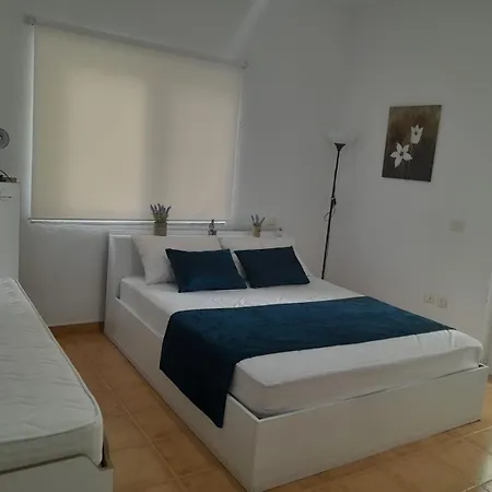 Lavender * Golem (Tirana)