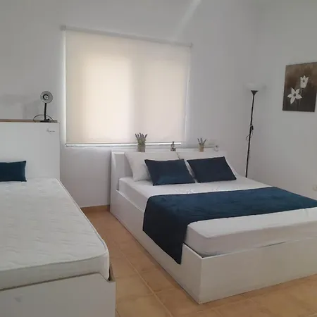 Lavender Golem (Tirana)